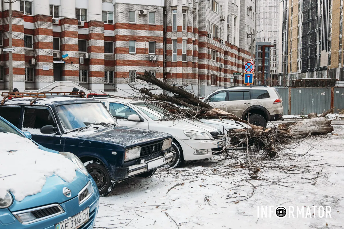 У п'ятницю, 13 грудня, на вулиці Олександра Поля дерево впало на припарковані автівки