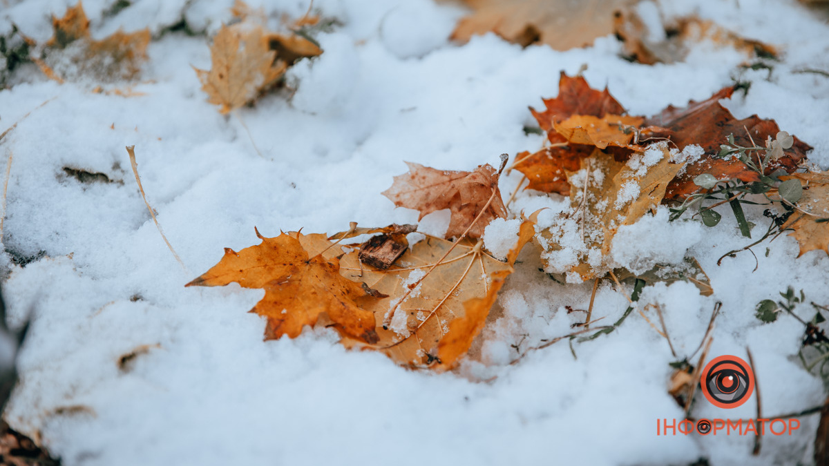 Листя - над, трава - під: як виглядає Дніпро під килимом першого снігу