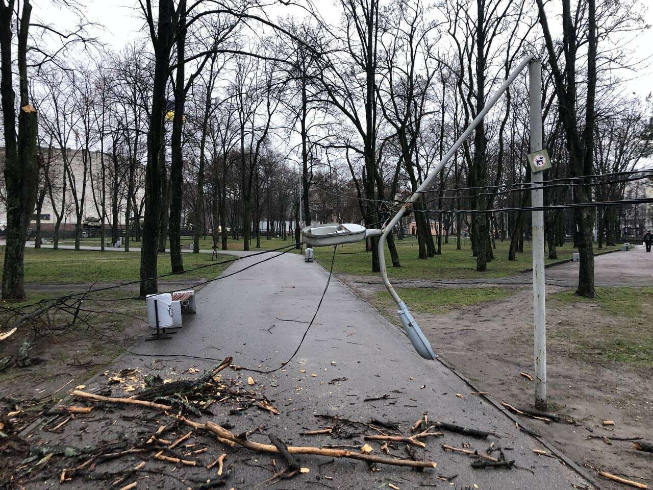 повалило дерево и столб