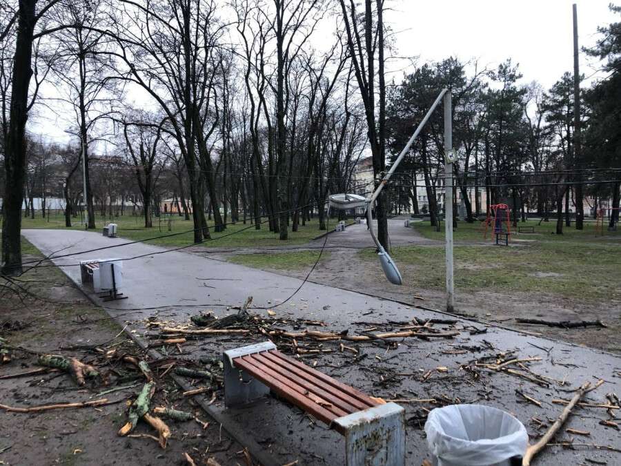 повалило дерево и столб