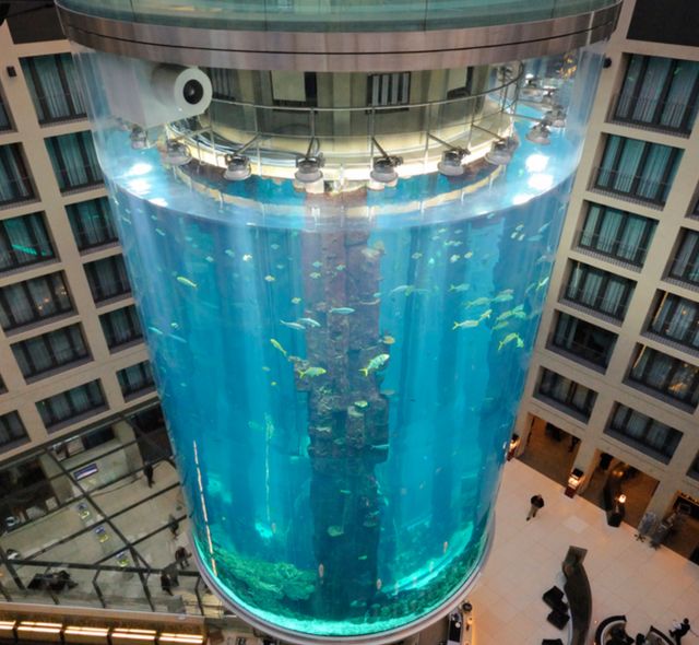 The AquaDom tank in the Radisson Blu hotel in Berlin