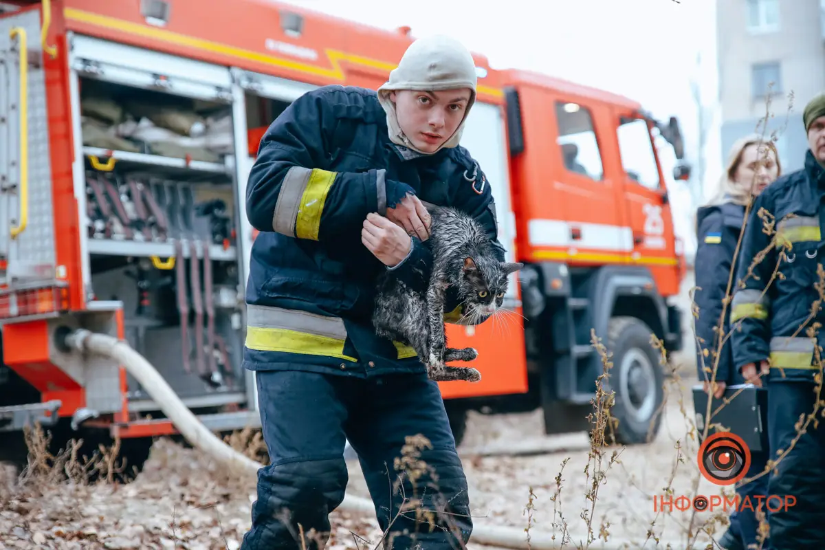 Постраждали тварини