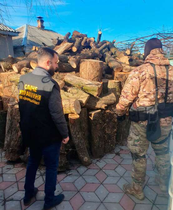 Вирубані дерева