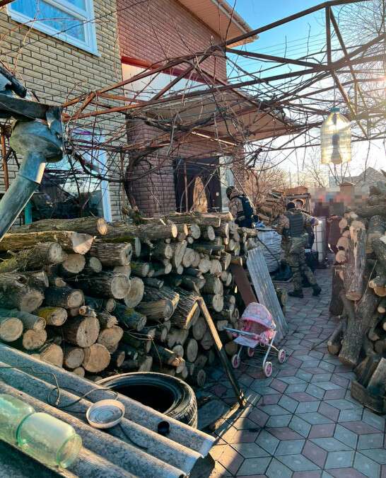 Вирубані дерева