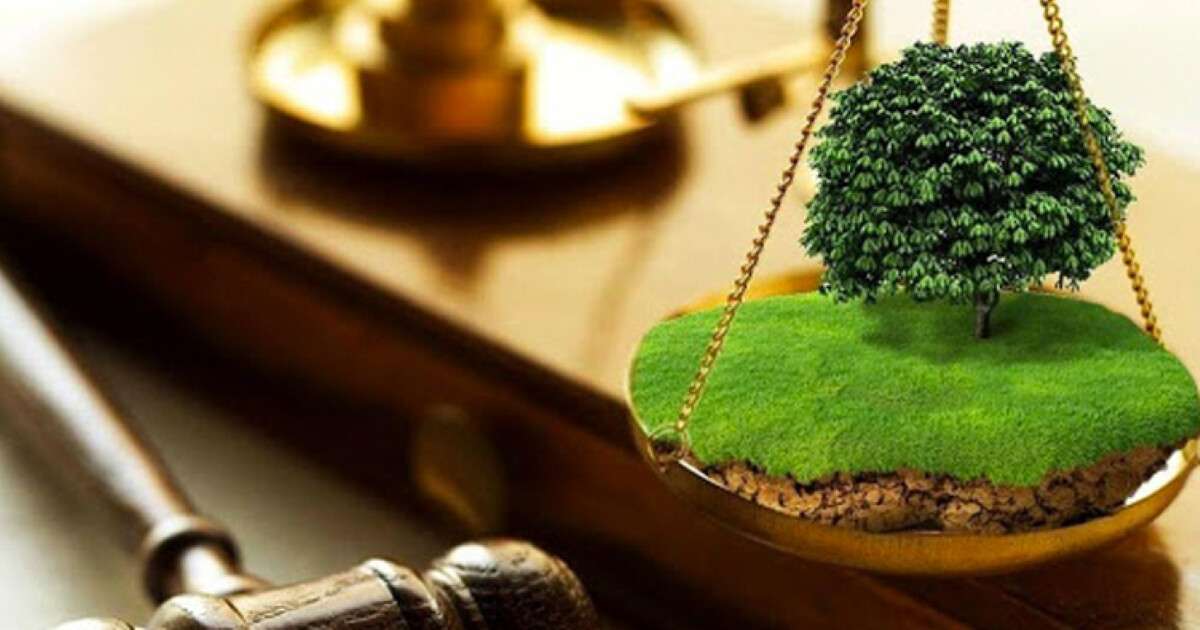 Земельні правопорушення