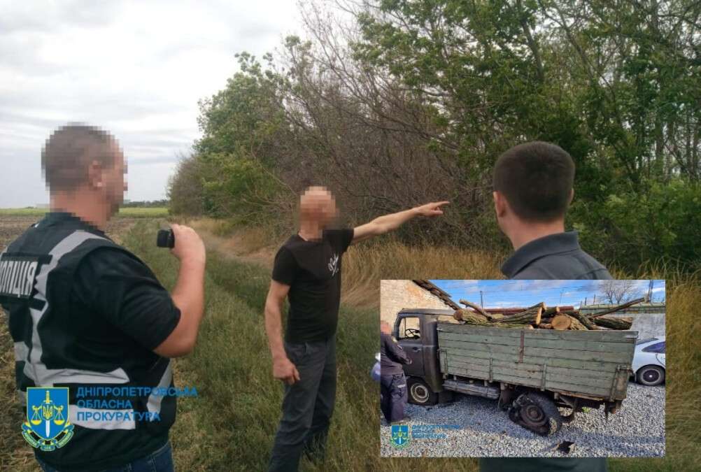 Чорні лісоруби на Дніпропетровщині