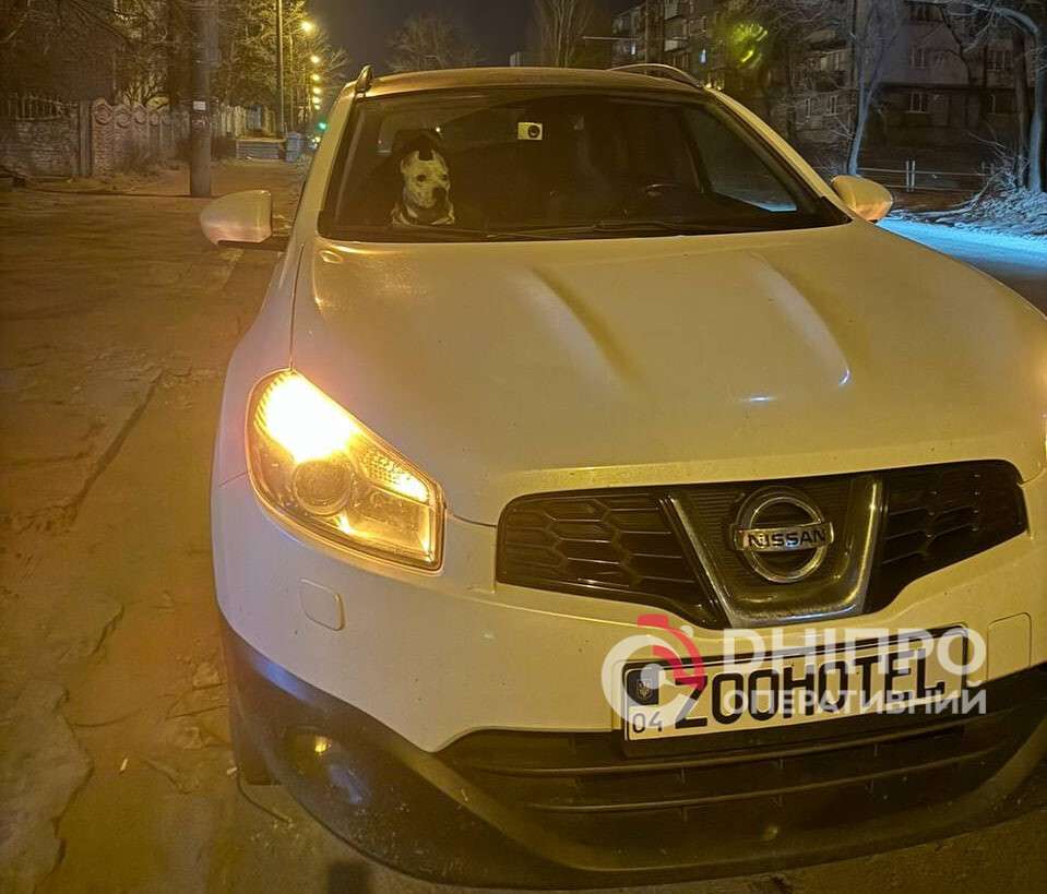 Російська атака на Дніпро знищила автівку місцевого зооготелю