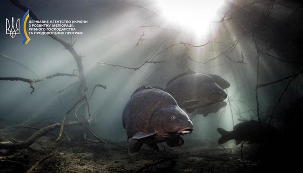 571320064_1140531094868232