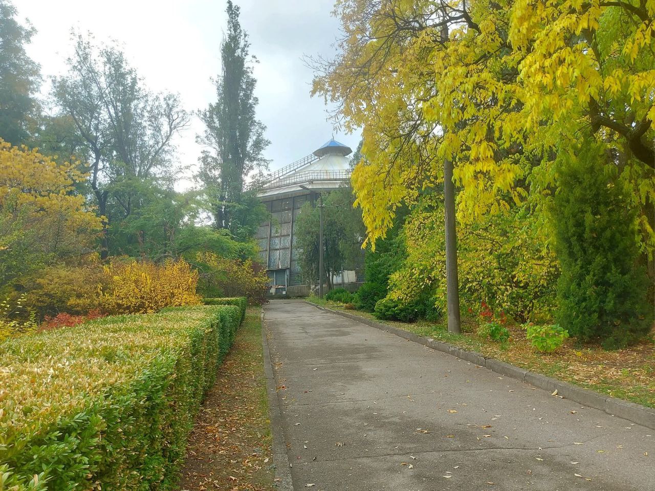 photo_2025-10-29_01-38-03 (2)