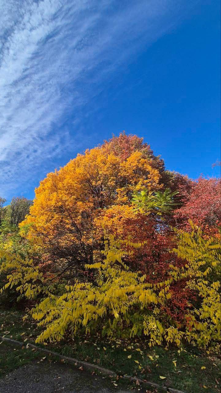 photo_2025-10-29_01-38-03