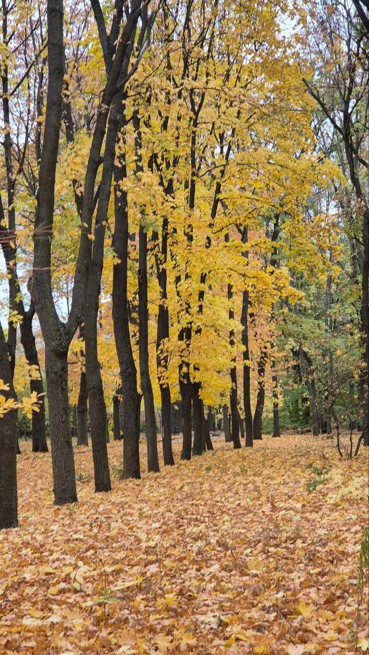 photo_2025-10-29_01-38-03 (4)