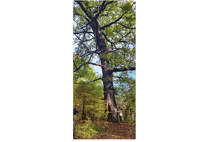 photo_2025-11-14_16-46-17