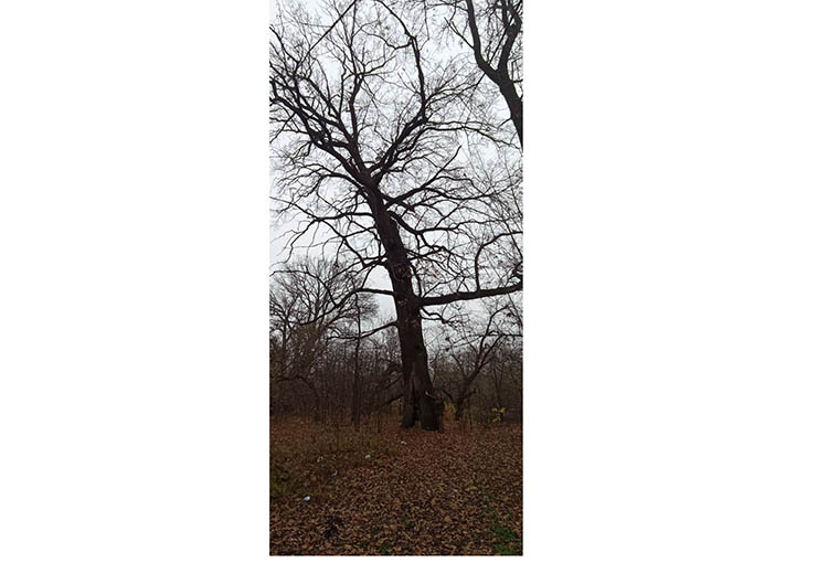 photo_2025-11-14_16-46-43