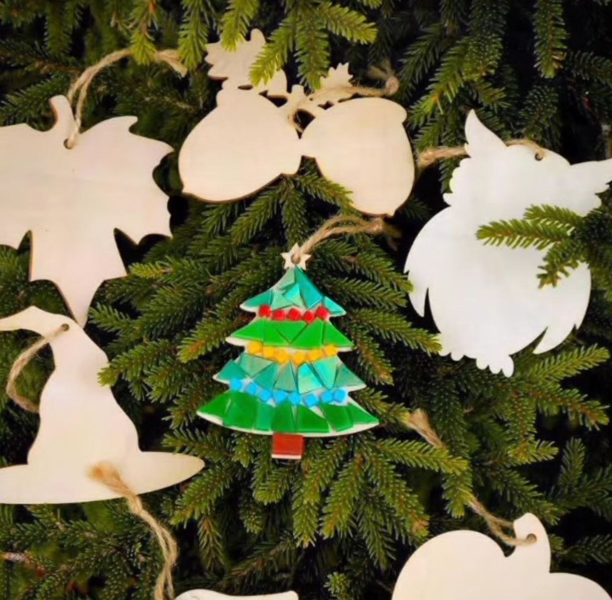 photo_2025-11-29_01-02-44