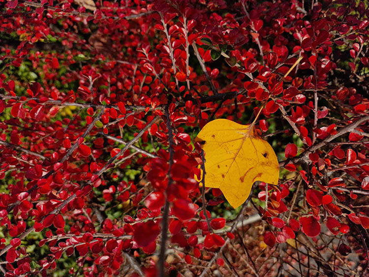 573058533_25043618715326742_7507378706396956663_n