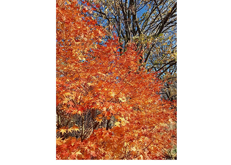 580574689_1728181308567332_6379341324856555635_n