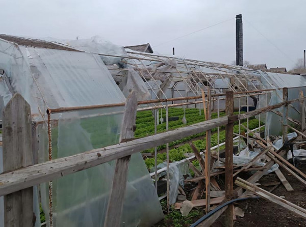 photo_2025-11-05_18-12-14