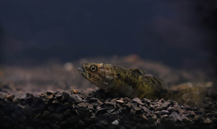 600336264_3766952653608875_2297429827577869067_n