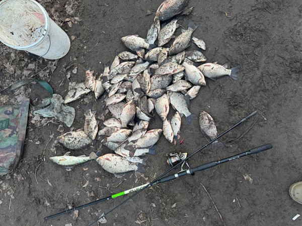 602916474_1189878059992792_2432910711898648833_n