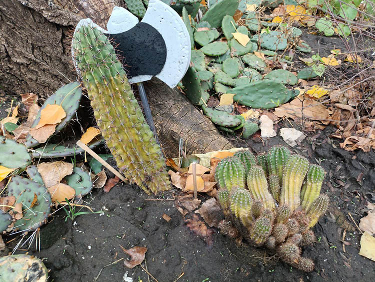 photo_2025-12-23_15-44-15 (2)