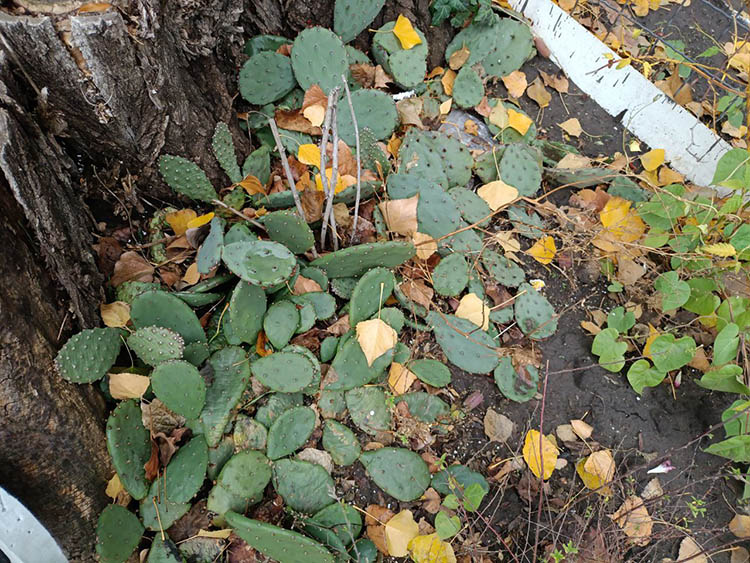 photo_2025-12-23_15-44-42