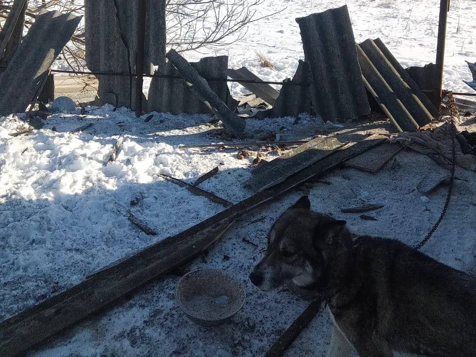 photo_2026-01-19_18-52-39