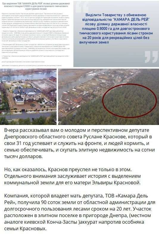 Як Краснов отримав гектари лісу в елітному передмісті Дніпра