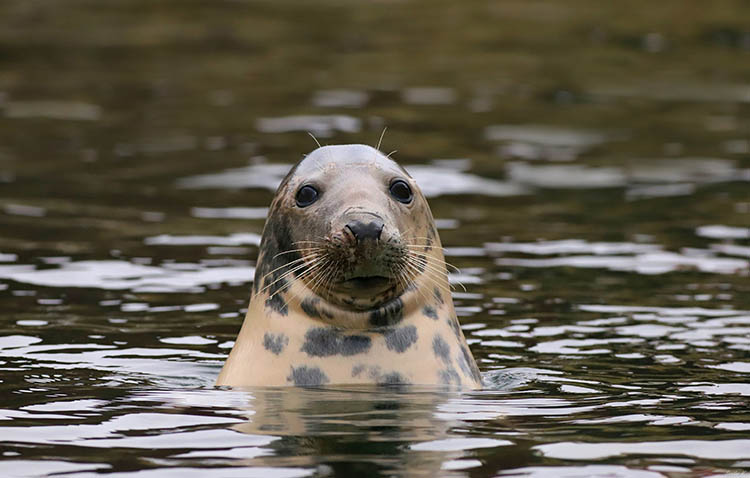 610616280_3786371151667025_274840097478409562_n