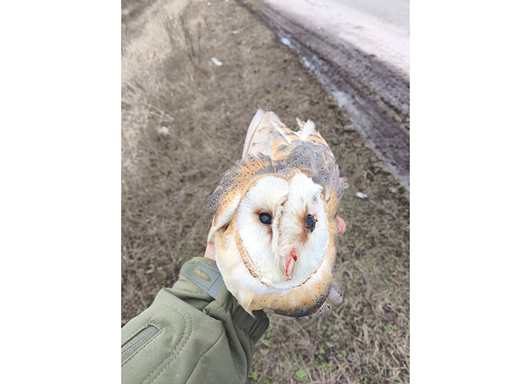 612664478_25309793648722465_2604057857352609512_n