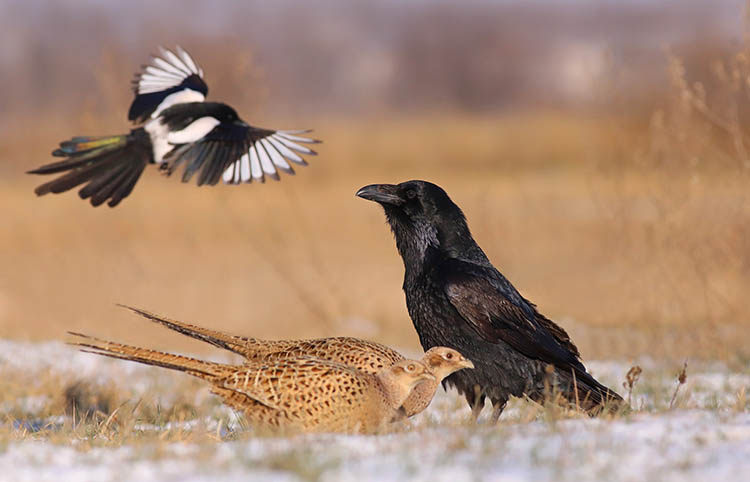 623114138_3807371939566946_2502582261890706420_n