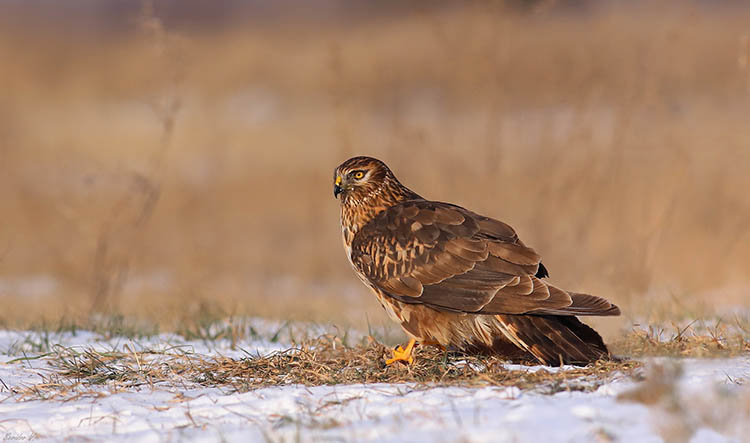 624547647_3809991335971673_7283686003555294295_n