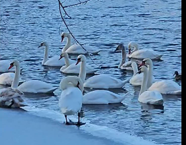 Безымянный