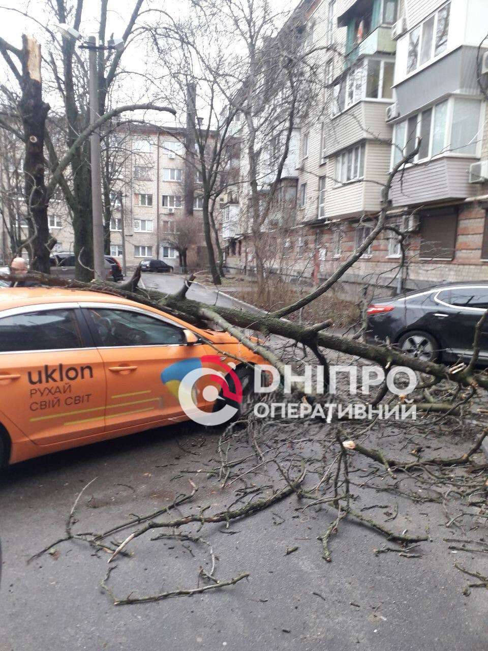 Негода вирує: вітер повалив дерева, паркани та світлофори