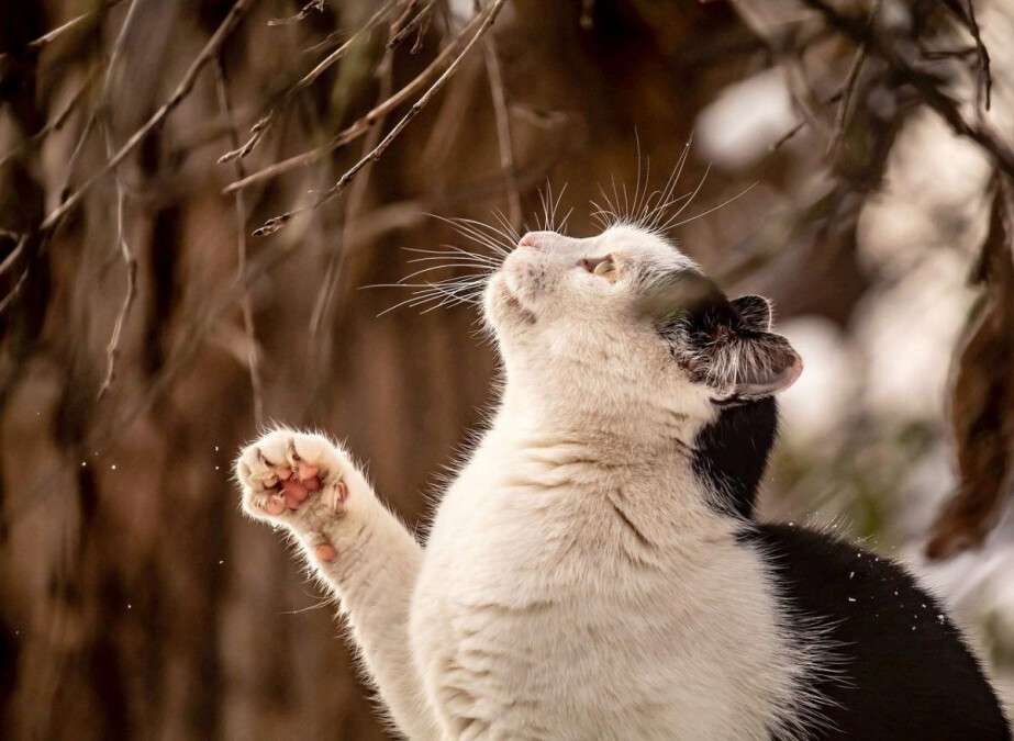 Погода в Дніпрі лютий