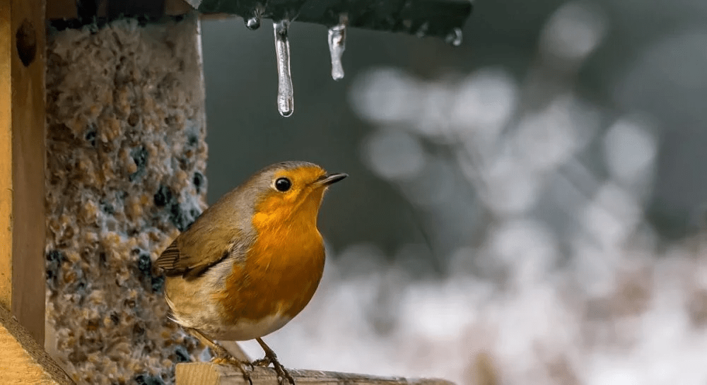 Погода в Дніпрі лютий