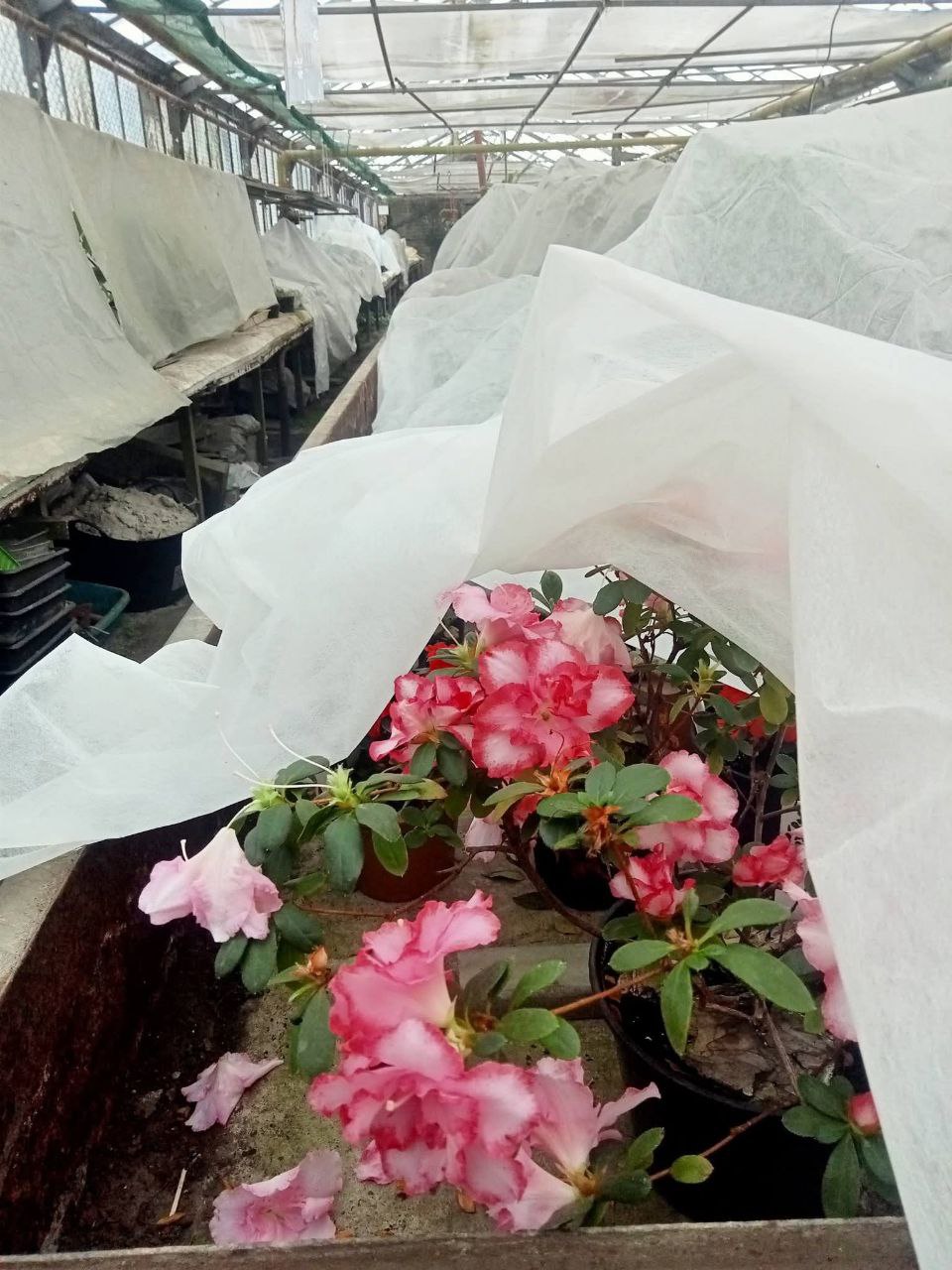 photo_2026-02-10_00-36-50 (2)