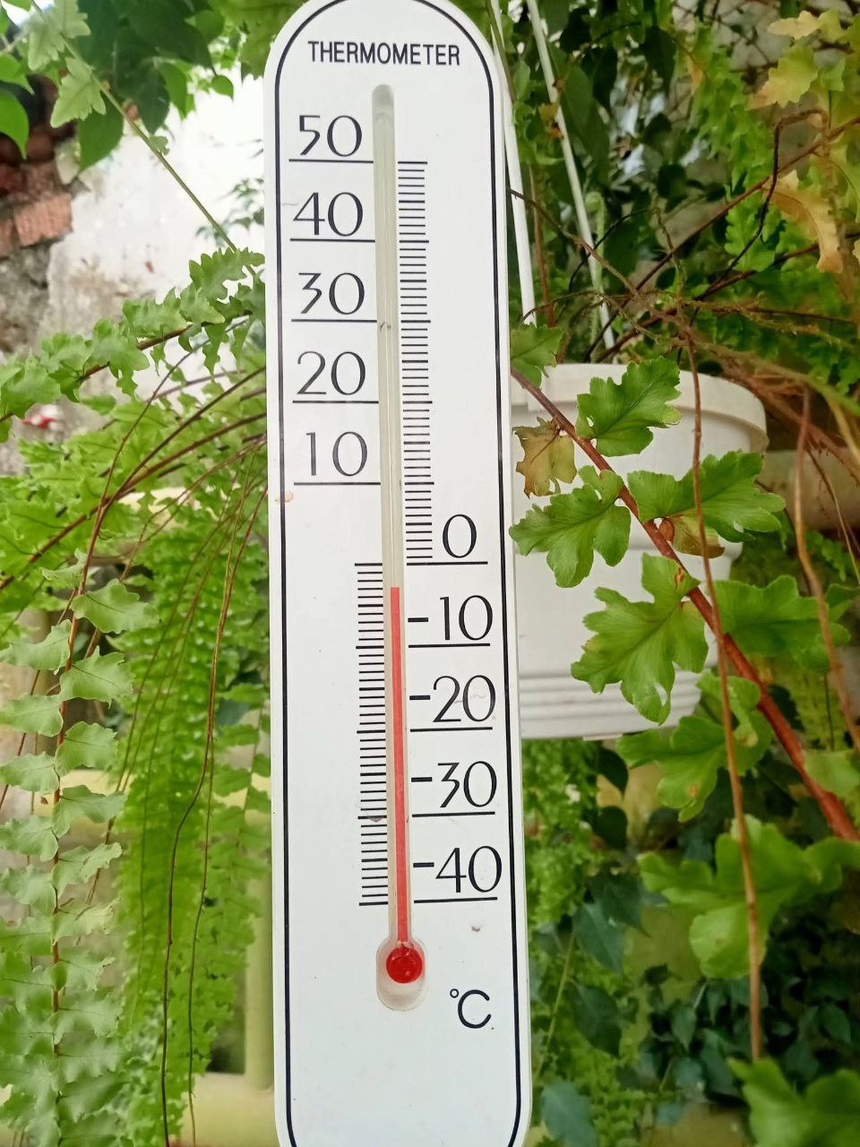 photo_2026-02-10_00-36-50