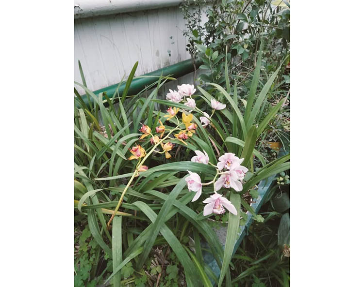 632533327_25787974390824128_8349965518255124754_n