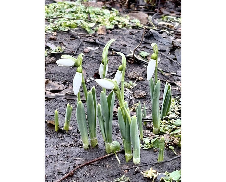 633902558_1317772090383417_7719021837987598788_n