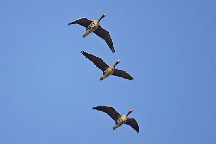 650784320_1958424704780210_3298110241980878983_n