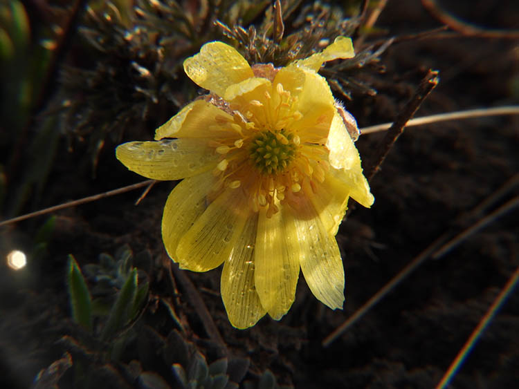 651897037_4428159064170826_335252179889216355_n