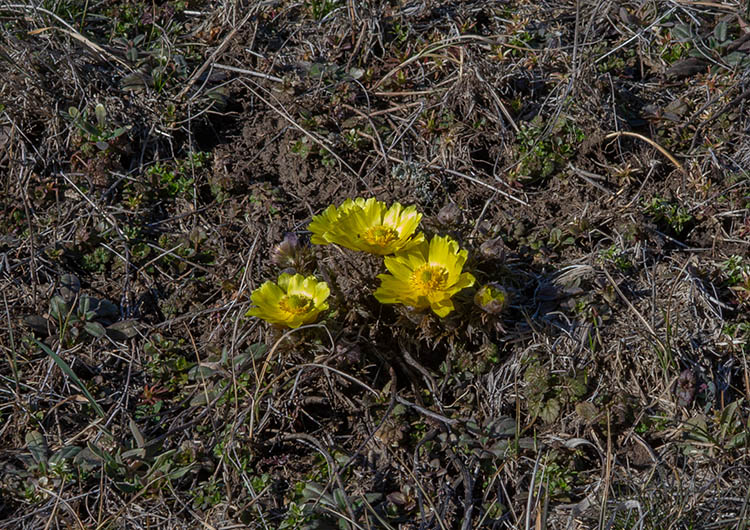 650941554_26196819223319566_9023281237256203948_n