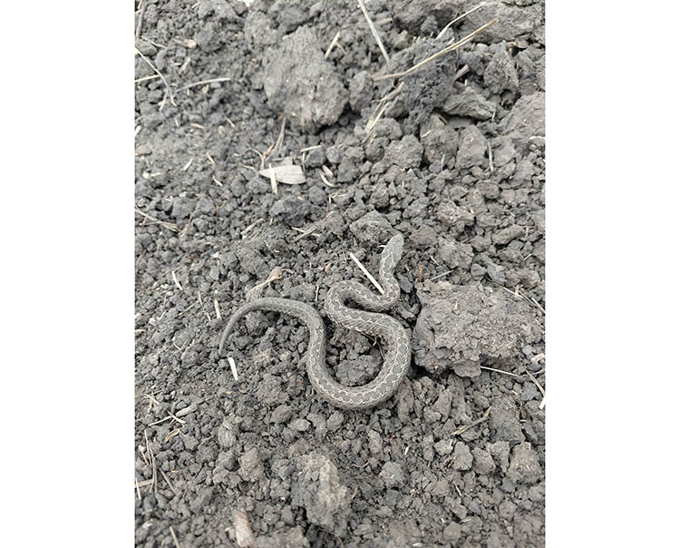 658274536_4336855486587070_5724065612949783742_n