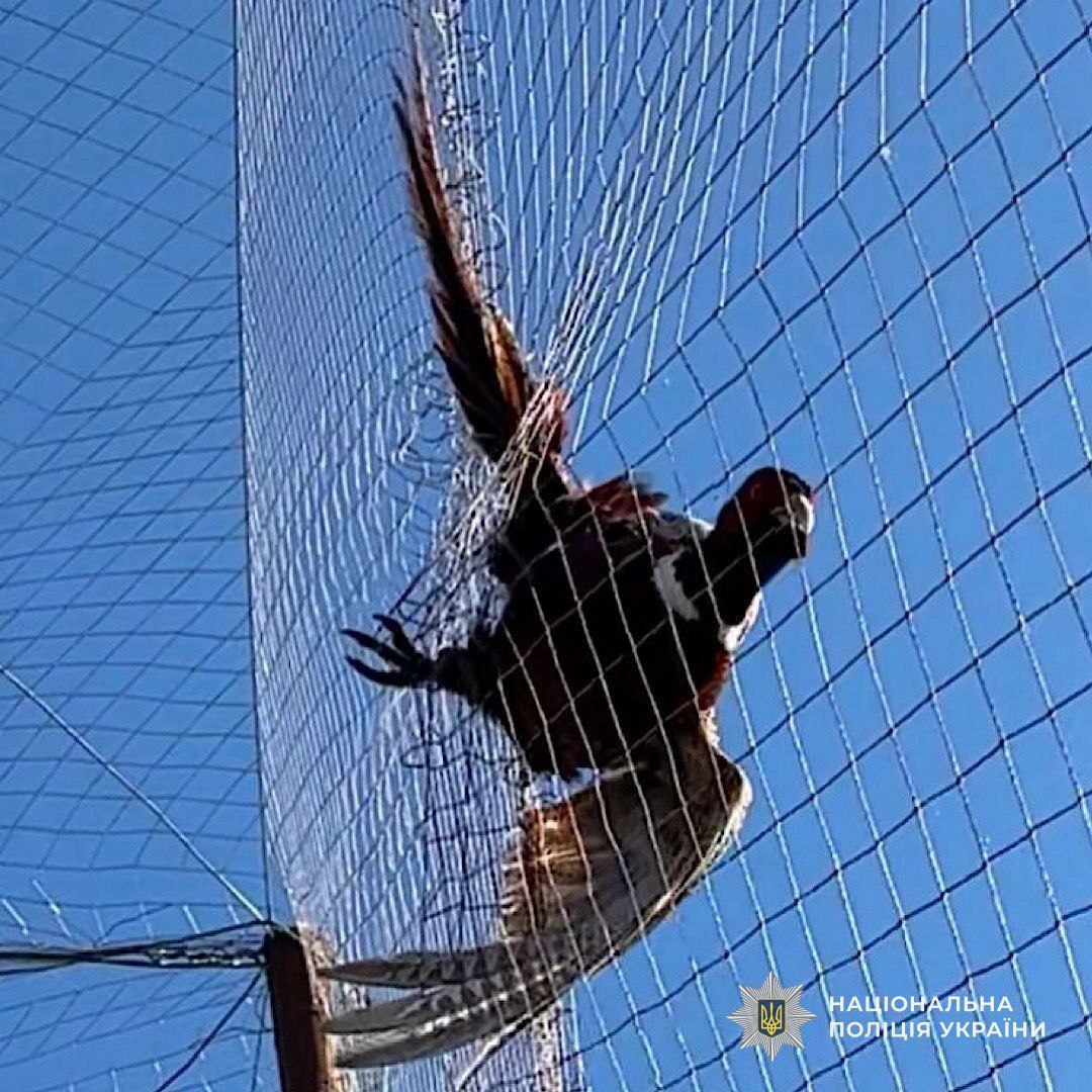 photo_2026-03-02_21-04-13 (2)