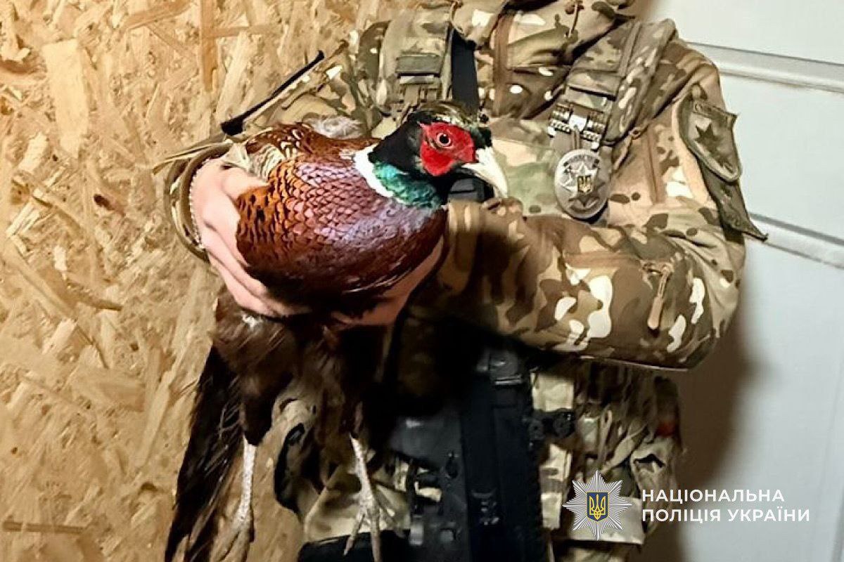 photo_2026-03-02_21-04-12