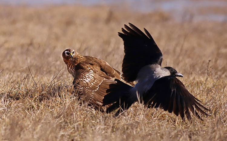 643868696_3836274210010052_6359244932786370942_n