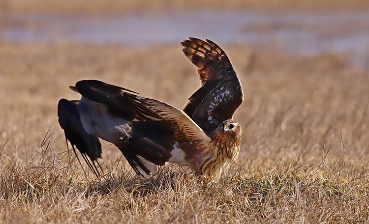 643868698_3836274236676716_7248374154267359490_n