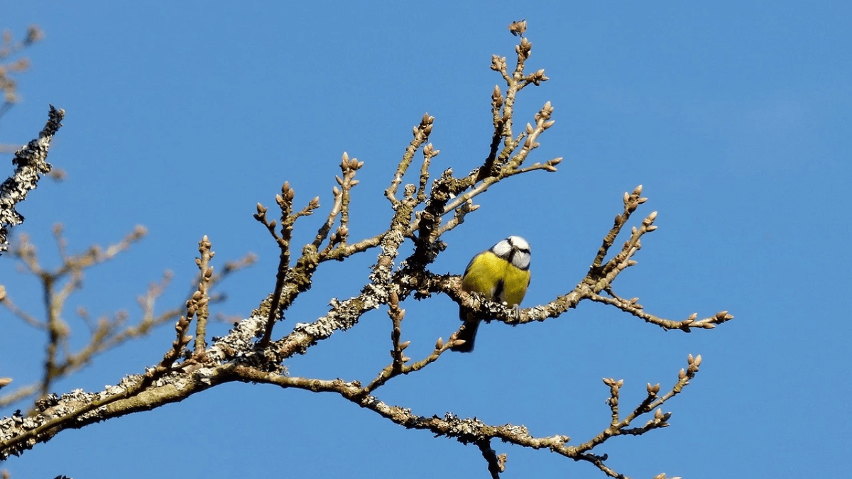 Погода в Дніпрі березень