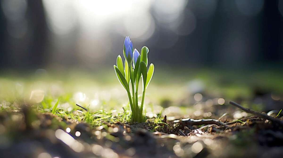 Погода в Дніпрі