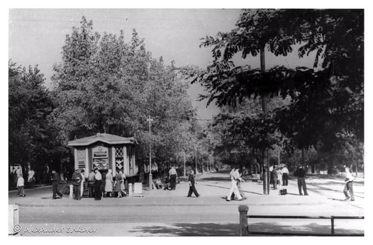 652520603_26178524581805593_2105209091303954937_n